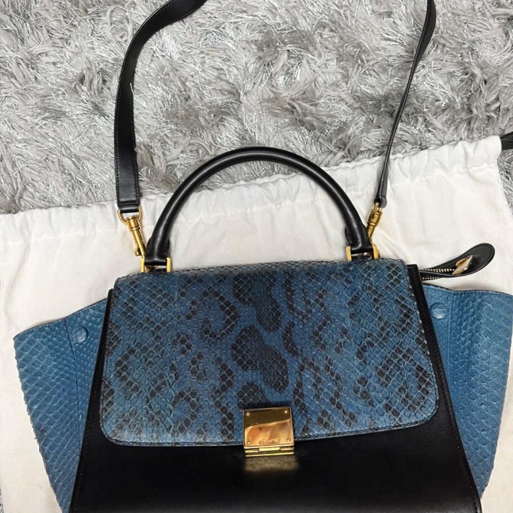 Celine Python Trapeze Bag 100% Authentic - image 3